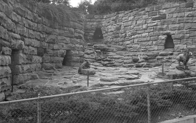 Pittsburgh Zoo Bear exhibit.jpg