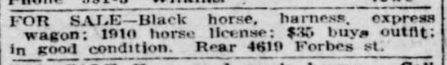 Horse and buggy ad PGH. Press April 2 1910.jpg