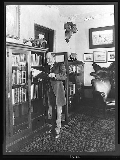 William Temple Hornaday,1854-1937,American zoologist,realtor,author,poet