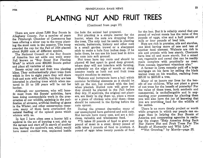 John m phillips planting nut and fruit trees 2.jpg