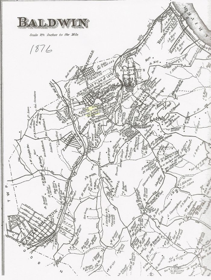 Baldwin Map 1876.jpg