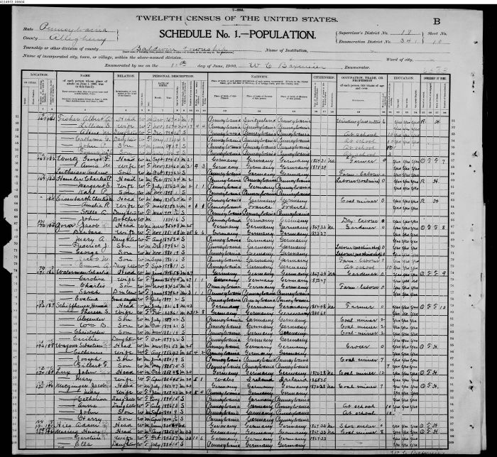 1900 census of Albert Fisher.jpg