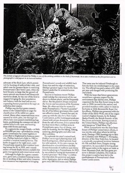 File:Phillips page 41.jpg