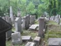 Jewish cemetery 8.jpg