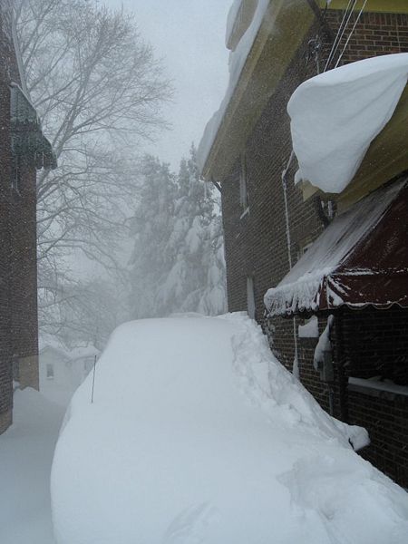 File:February 2010-Hornaday Road 219.jpg