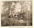 Boy Scouts in Carrick Park building trail 1914.jpg