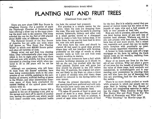 John m phillips planting nut and fruit trees 2.jpg