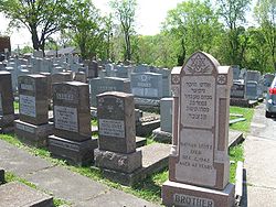 New Part Jewish Cemetery 1.jpg