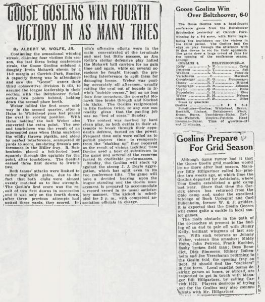 File:Goose goslins.jpg