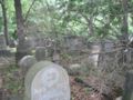 Jewish cemetery 3.jpg