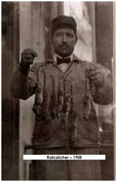 File:Mine photo Ratcatcher – 1908a.jpg