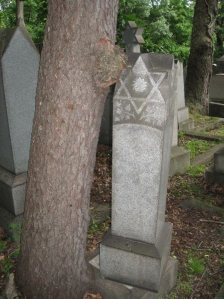 File:Jewish cemetery 9.jpg